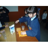 Pequeños científicos